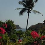 Profile Picture of Amanda Boudreault (@amandaboudreault) on Instagram