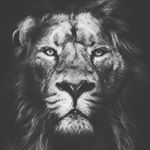 Profile Picture of James Roberts (@goodtimes78tbird) on Instagram