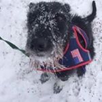 Susan MacIsaac - Instagram Profile Picture of Susan MacIsaac (@macisaacsusan) on Instagram