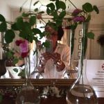 Profile Picture of Catherine Horton (@cathyhorton66) on Instagram