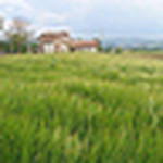 Profile Picture of Bed And Breakfast (@fontecese) on Flickr