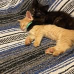 Nicholas Beal - Facebook Profile Picture of Nicholas Beal (@nicholas.beal.334) on Facebook