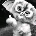 Profile Picture of crystal logsdon (@logcrystal) on Instagram