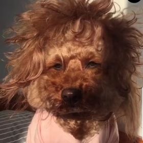 Profile Picture of Kristen Crabtree (@kcrabtree22) on Pinterest