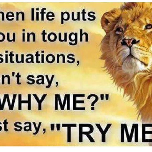 Profile Picture of Amjad Hammad (@hammadamgad) on Poshmark