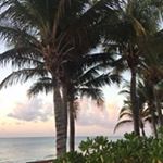 Profile Picture of Laurie Block (@laurie_block) on Instagram