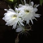 Profile Picture of Wenbin Chen (@wenbin6688) on Instagram