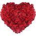 Profile Picture of Dalia Loeb (@dalia.loeb.7) on Facebook