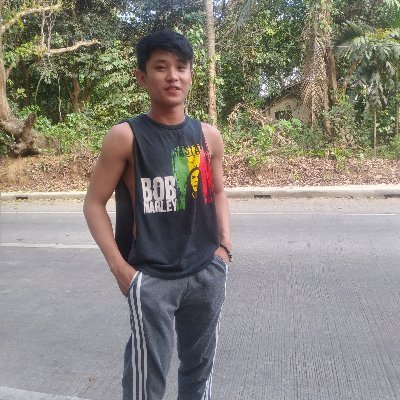 Joshua Infante - Twitter Profile Picture of Joshua Infante (@JoshuaInfante15) on Twitter