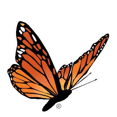 Profile Picture of Ray Graham Assoc (@RayGrahamAssoc) on Twitter