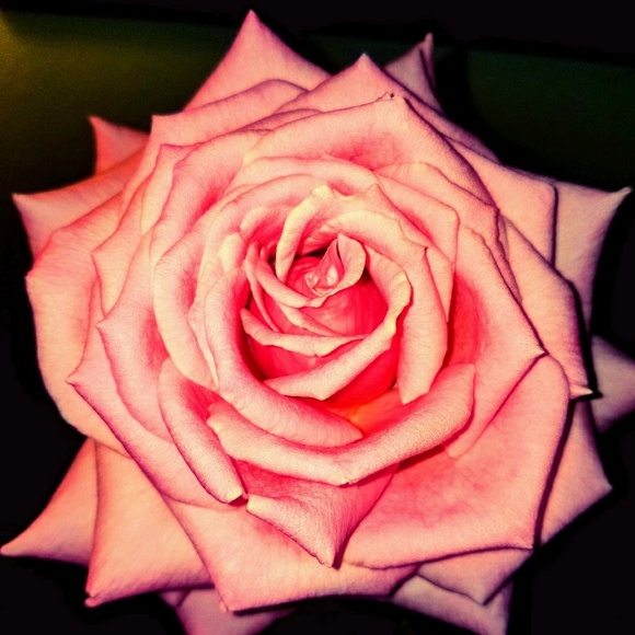 Profile Picture of Tnt Klund (@klund0318) on Poshmark