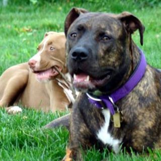 Profile Picture of Scooter Streight (@scooter.streight) on Facebook