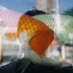 Profile Picture of Huiping Chen (@huipingchen) on Instagram