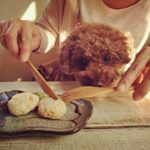 Profile Picture of Yasuko Nishimura (@erumo0327) on Instagram