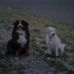 Profile Picture of Claudia Boothe (@Claudia-Boothe) on Facebook
