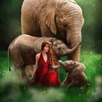 Profile Picture of Fine Art Photographer (@miriamfineartph) on Instagram