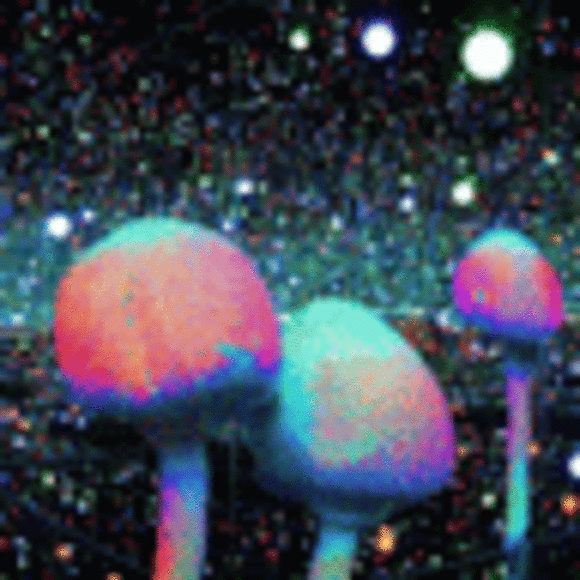 Profile Picture of Steven Haddox (@stevenhaddox) on Poshmark