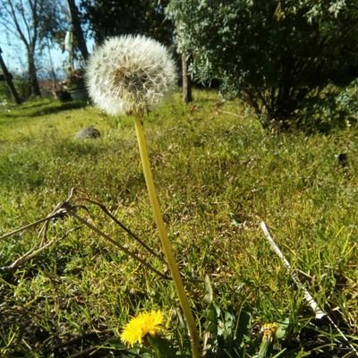 Profile Picture of Alexsandra Vasquez (@AlexiaV198) on Twitter