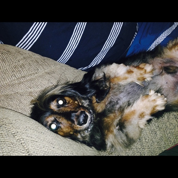 Profile Picture of Amanda Lootens (@aflyte) on Poshmark