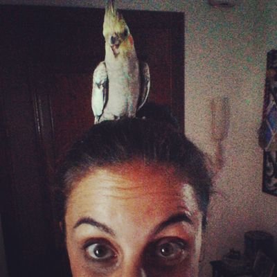 Profile Picture of Esperanza Fernández (@Espe_Tec) on Twitter