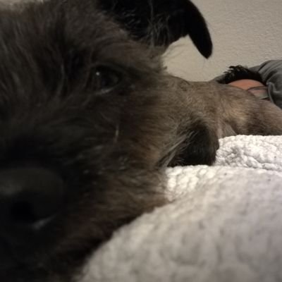 Profile Picture of Vincent Zhao (@vincezhao_geo) on Twitter