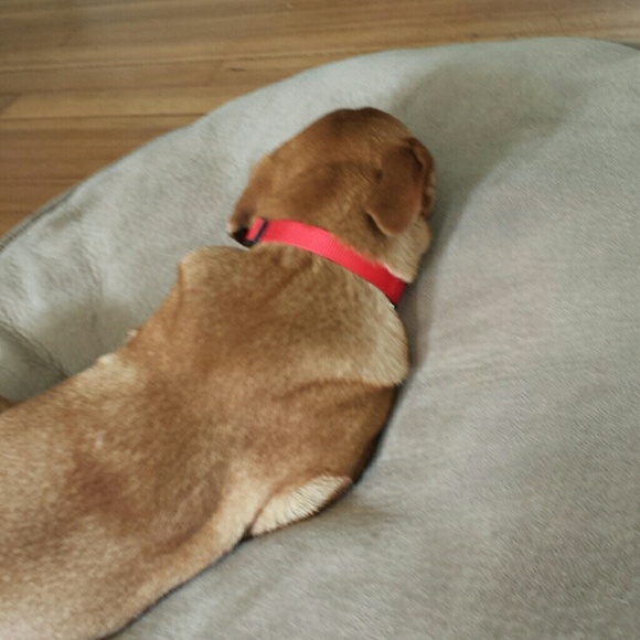 Profile Picture of Delaney Kragerud (@laneybug205) on Poshmark