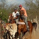 Profile Picture of Alex Moura (@alexmoura11) on Instagram