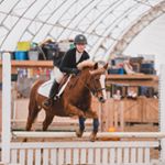 Profile Picture of Rebecca barnes (@rebeccaaaaaaequestrian) on Instagram