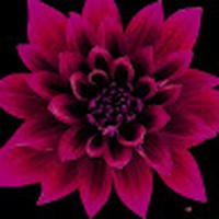 Profile Picture of Beth Desmond (@beth-desmond-6) on Quora