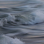 Profile Picture of Seth Gray (@sethgray1) on Flickr