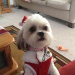 Profile Picture of Lorene Knight (@lknight45) on Instagram