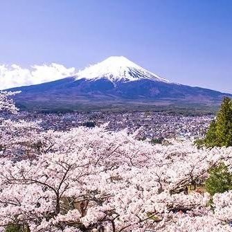 Profile Picture of Alexander Lind (@marcelio_jeremy) on Twitter