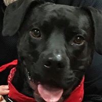 Profile Picture of Robin Cherney (@robin-cherney) on Quora