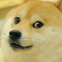 Profile Picture of Alexander Halpin (@alexander-halpin) on Quora