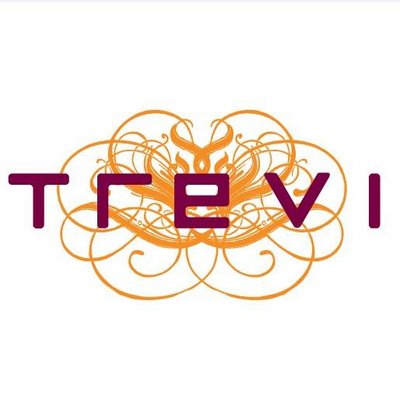 Profile Picture of TREVI Italian (@TREVILV) on Twitter