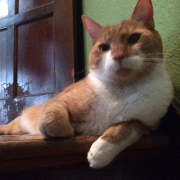 Profile Picture of Brian Carney (@carnzilla) on Poshmark