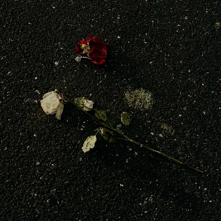 Profile Picture of Polo.Jimmy (@pol0.jimmy) on Tiktok