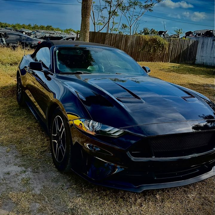 Profile Picture of Michael Burris (@michael.burris) on Tiktok