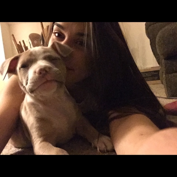 Ariela Moreno - Poshmark Profile Picture of Ariela Moreno (@arielamoreno) on Poshmark