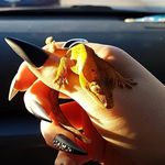 BubbaBear Stuart Grimsley - Instagram Profile Picture of BubbaBear Stuart Grimsley (@bearthecrestie) on Instagram