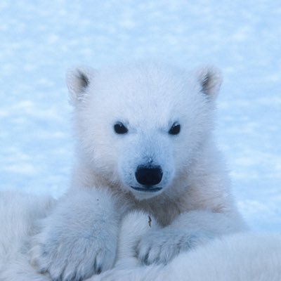 Profile Picture of Jackie Maxted (@MrsMax343) on Twitter