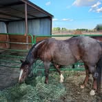 Profile Picture of Richard Seifert (@richard.seifert.2025) on Facebook