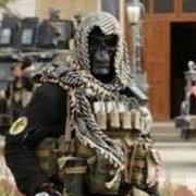 Profile Picture of Michael Errington (@MichaelErring14) on Twitter