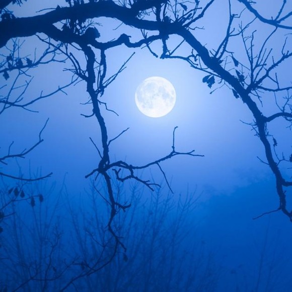 Alexa Lappe - Poshmark Profile Picture of Alexa Lappe (@evileyefashion) on Poshmark