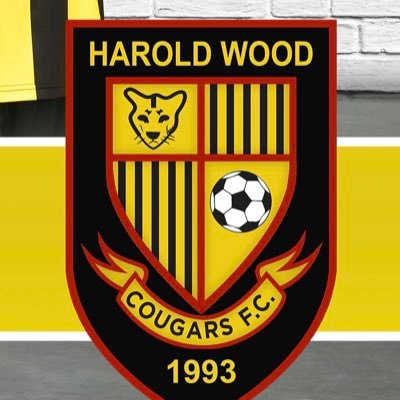 Profile Picture of Harold Wood Cougars U13 Black (@CougarsBlack) on Twitter