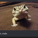 Profile Picture of Mark Macdonald (@markmacdonald5) on Flickr