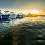 Profile Picture of Jason Parsons (@tigerrag44) on Instagram