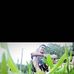 Profile Picture of Erick Maddy (@erick.maddy.7) on Facebook