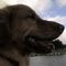Profile Picture of Grace Keating (@grace.keating.7) on Facebook