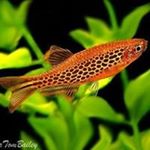 Profile Picture of Alvarado Ignacio (@ignacio.alvarado.125) on Instagram
